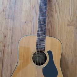 Alvarez Acoustic Guitar
