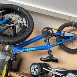 Bronco and electra bicycles