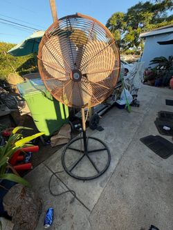Fan