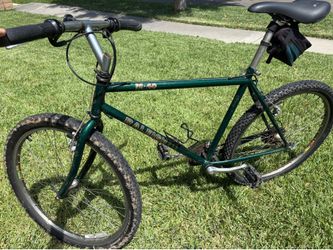 Raleigh Cycle Company Adult Bike - 19 in frame