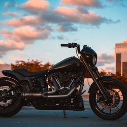 Harley Davidson 2023 FXLRS Custom