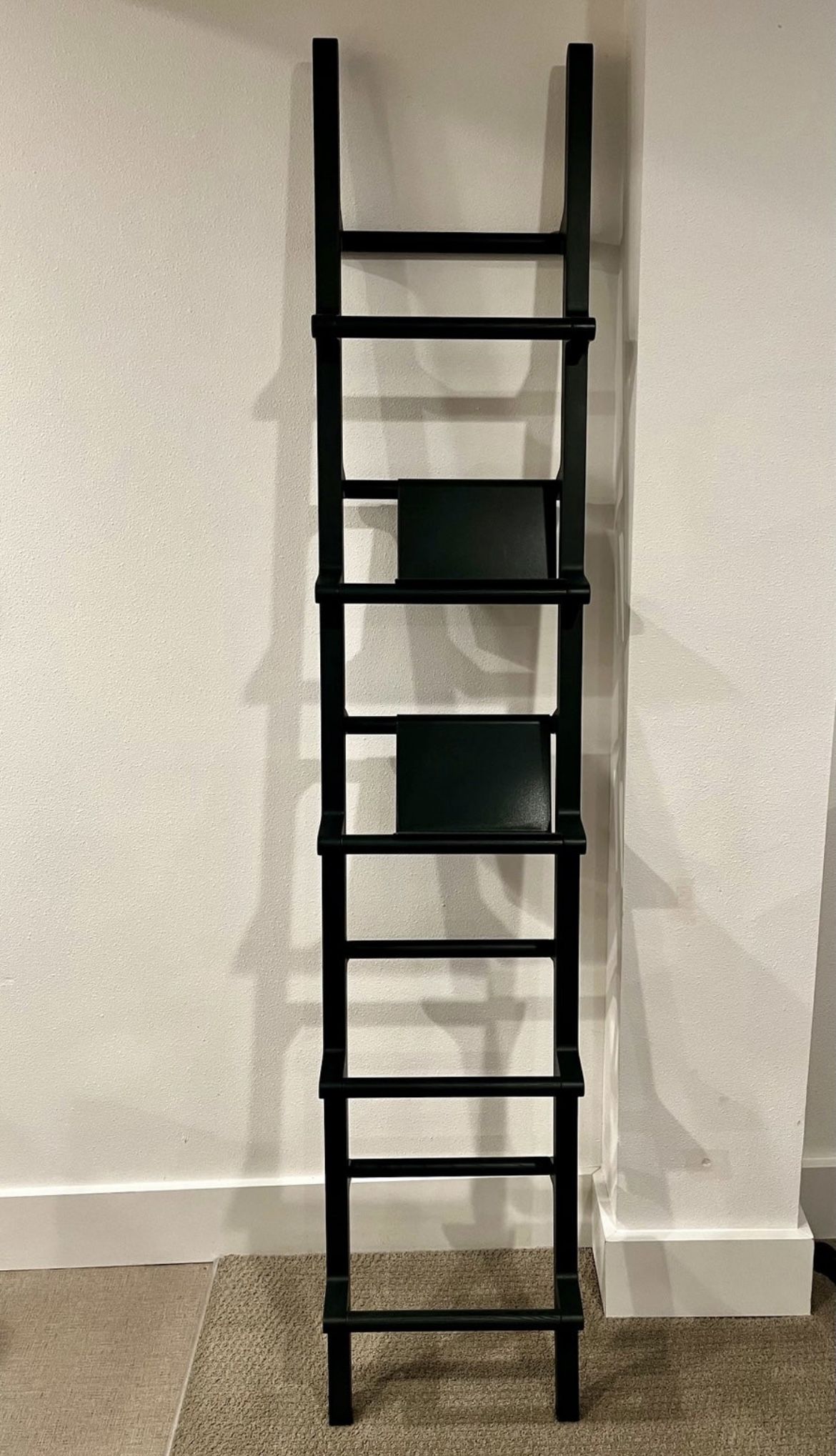 Hem Ladder Shelf