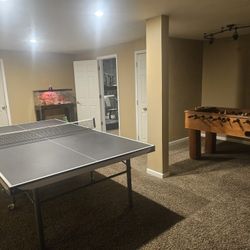 Ping Pong Table