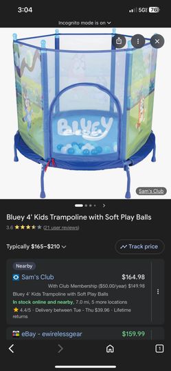 Bluey Trampoline