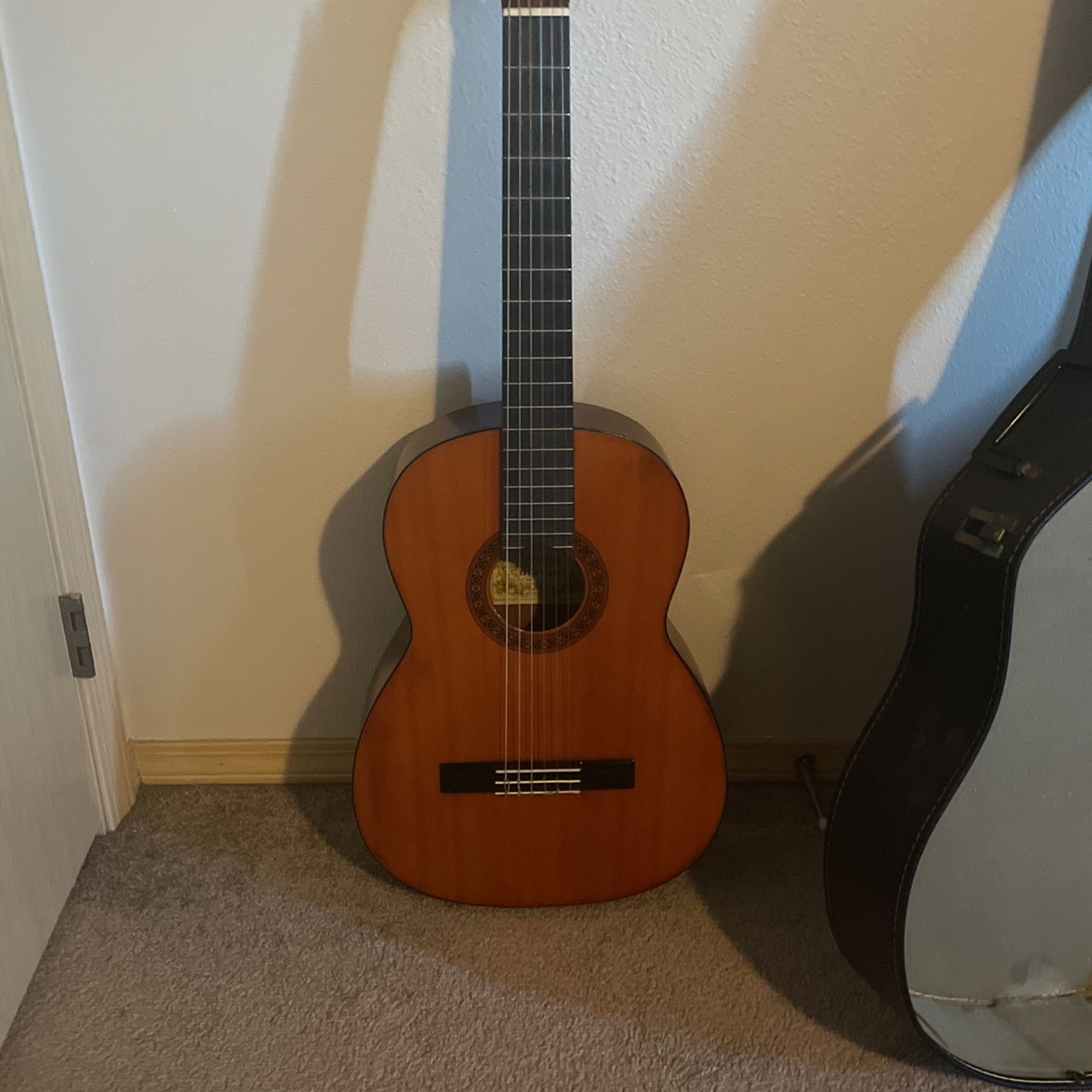 Acoustic guitar