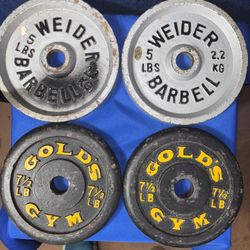 25 Lbs Of Weight Plates 