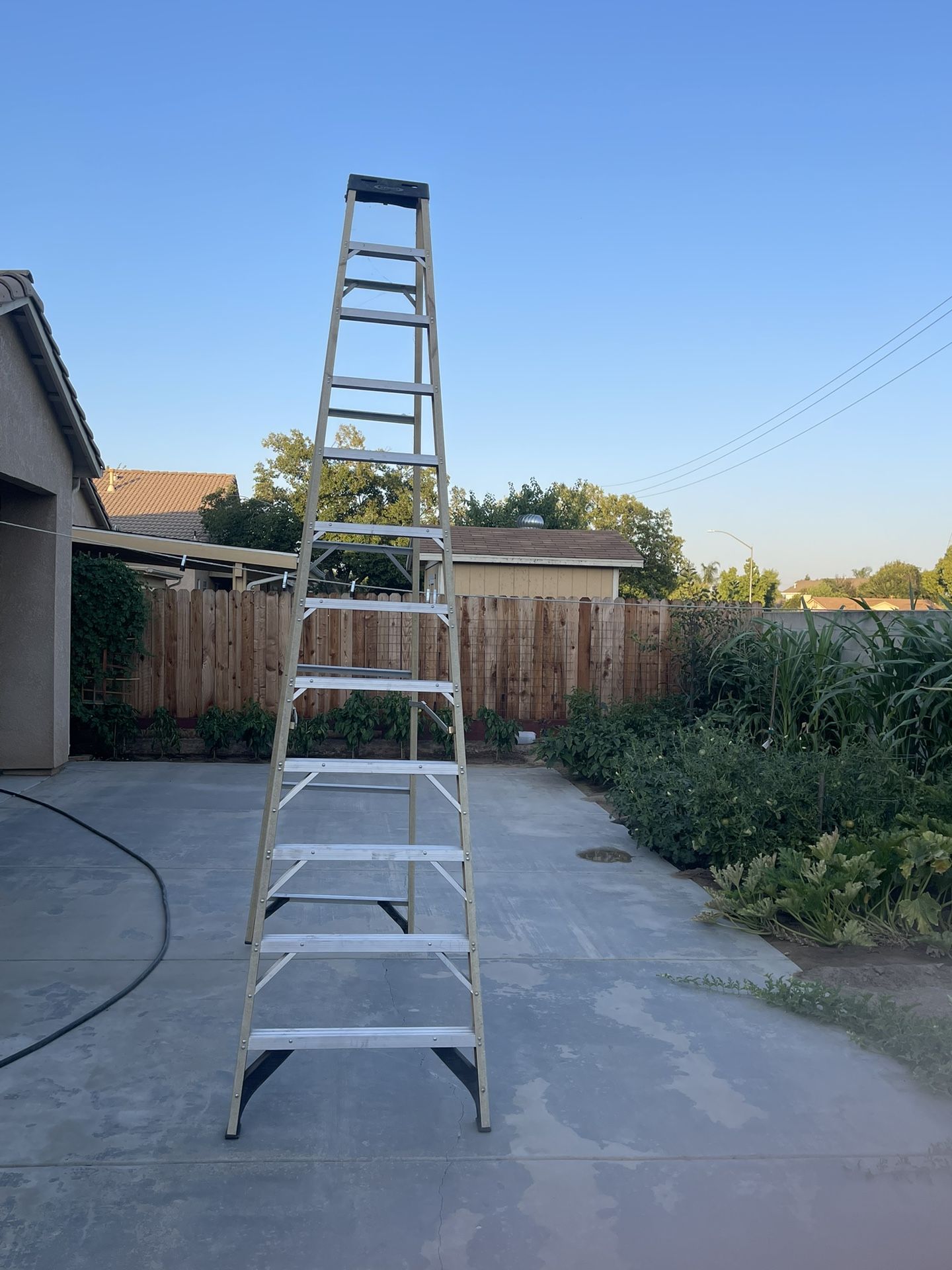Werner Ladder