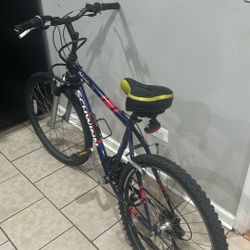 Schwinn Bike
