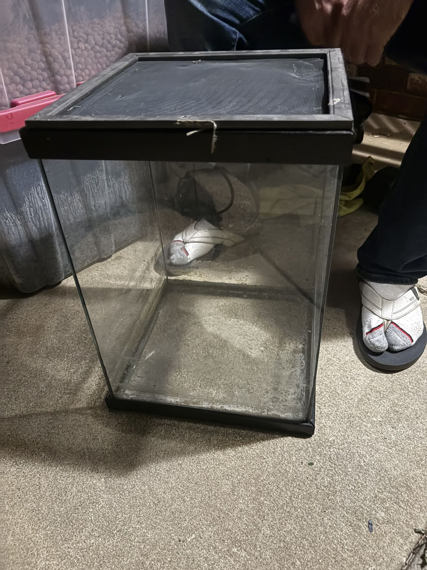 10 Gallon Reptile Aquarium W/screen $10