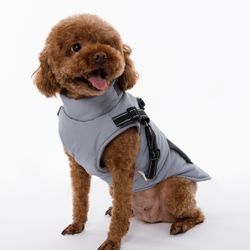 Pets Winter jacket