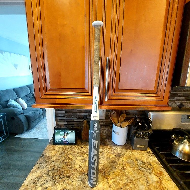 Easton Ghost Softball Bat 32-10
