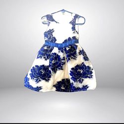 Blue And White Baby Dress