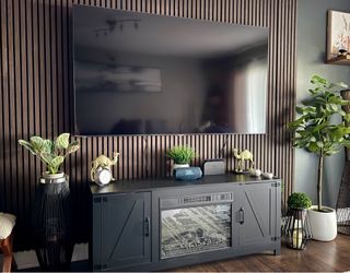 Samsung 75” & Tv Stand 58”