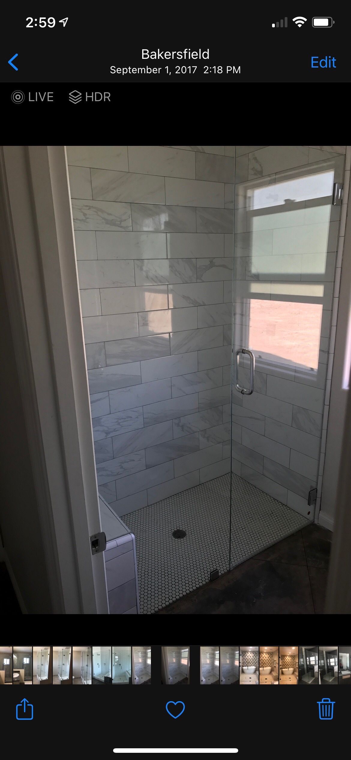 Frameless Showerdoors