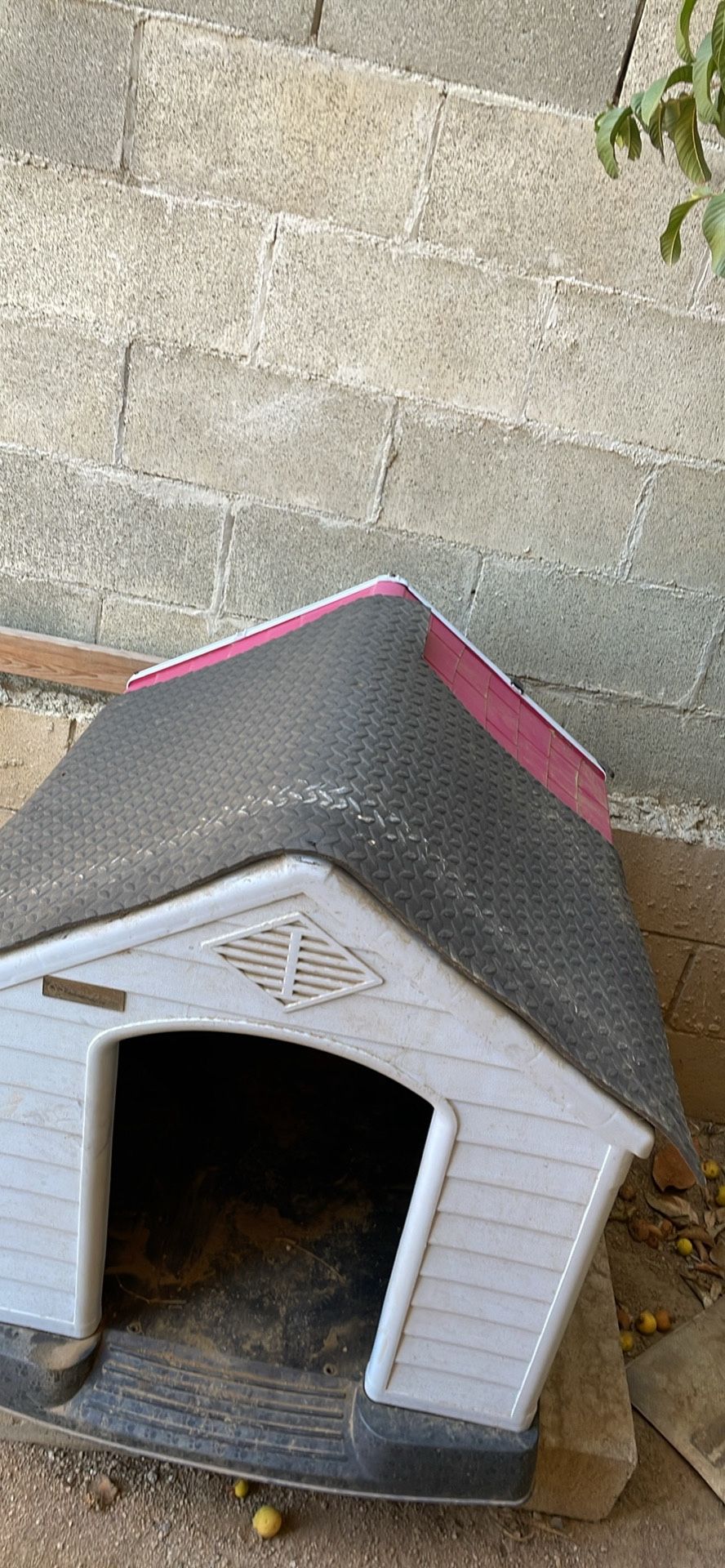 Indoor/ Outdoor Dog House