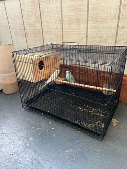 birdcage