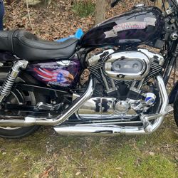 2006 Harley Davidson Sportster