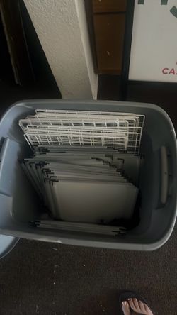 Free Guinea or rabbit supply bring own bin