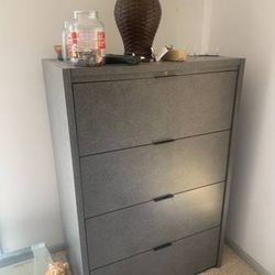 Filing Cabinet/ book Shelf -$150 Obo-Free Delivery 