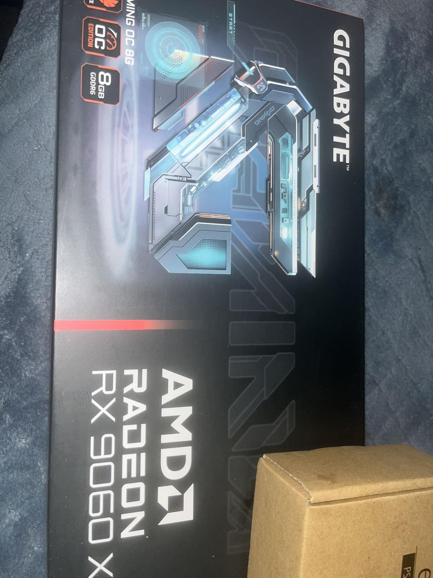 9060xt (8gb)