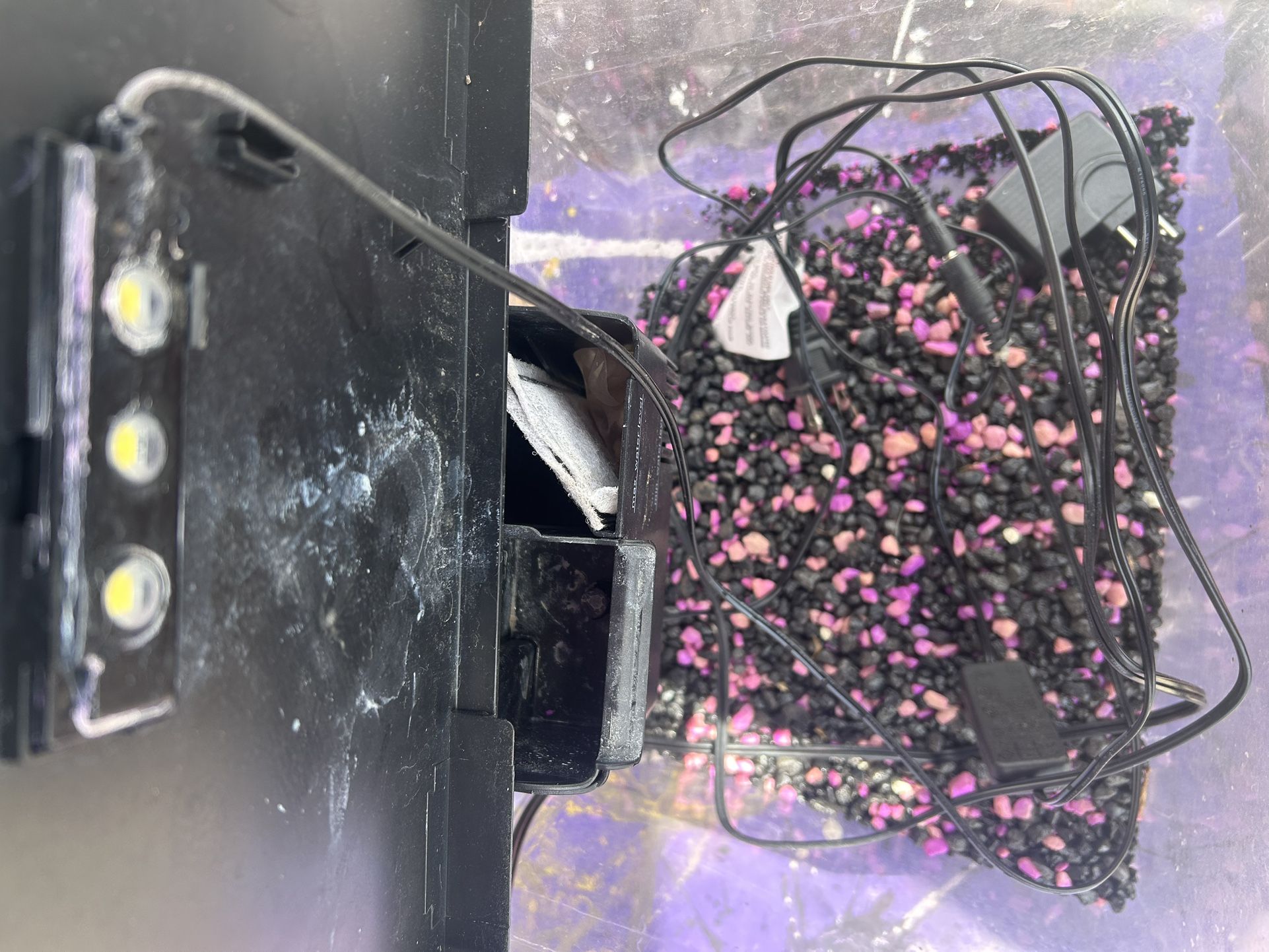 2.5 Gallon Fish Tank