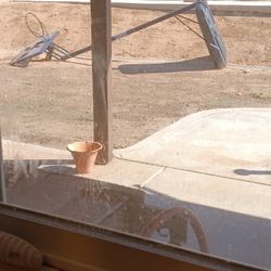 Basketball Hoop Stand Free