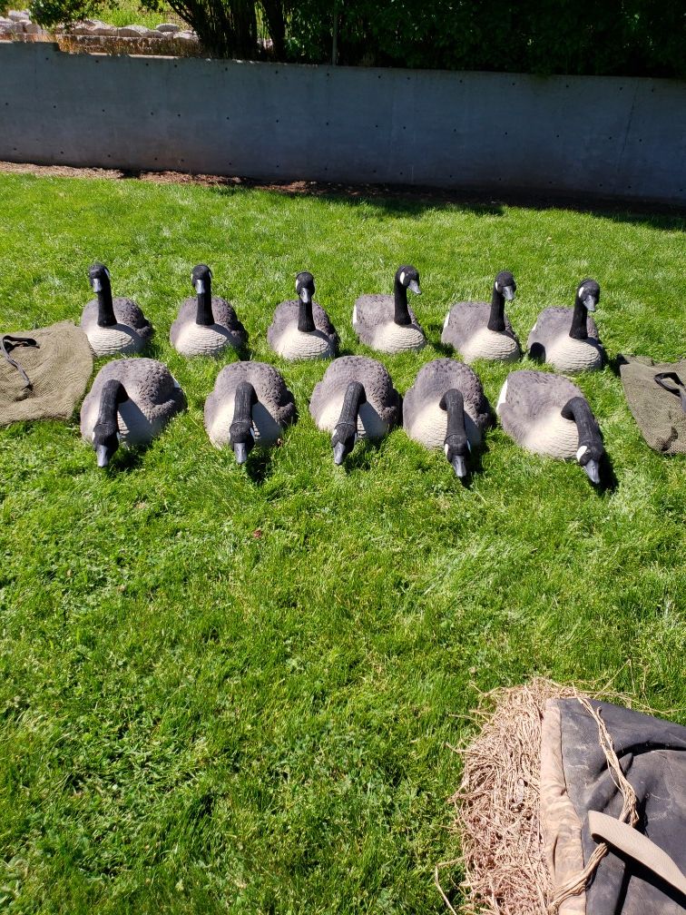 Grand Magnum Goose Decoys with bags