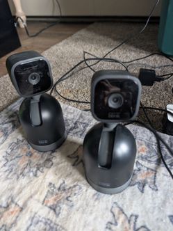 Blink pet cameras