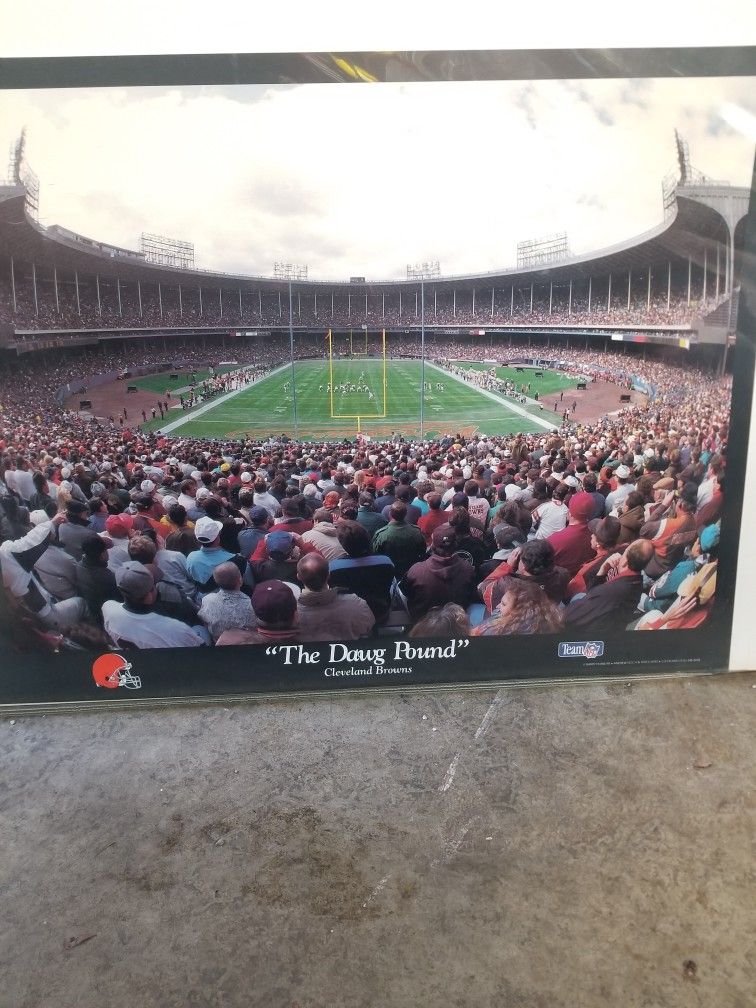 Cleveland Browns Dawg Pound