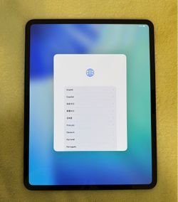 iPad Pro
