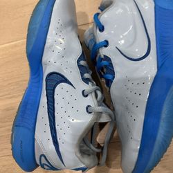 Lebron XI Unreleased Colorway 