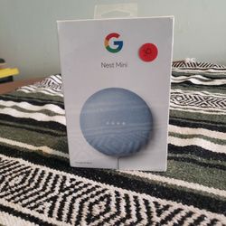 Google Nest Mini