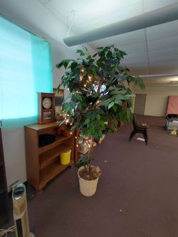 Plant decor