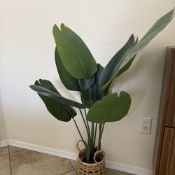 Faux Plant 