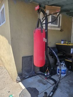 Everlast Punching Bag And Stand
