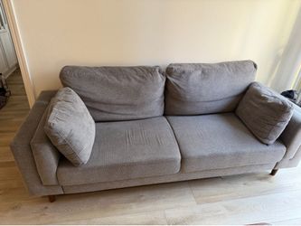 Wayfair Couch (original price $450)