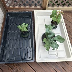 Set of Two Plant Grow or Drain Trays
