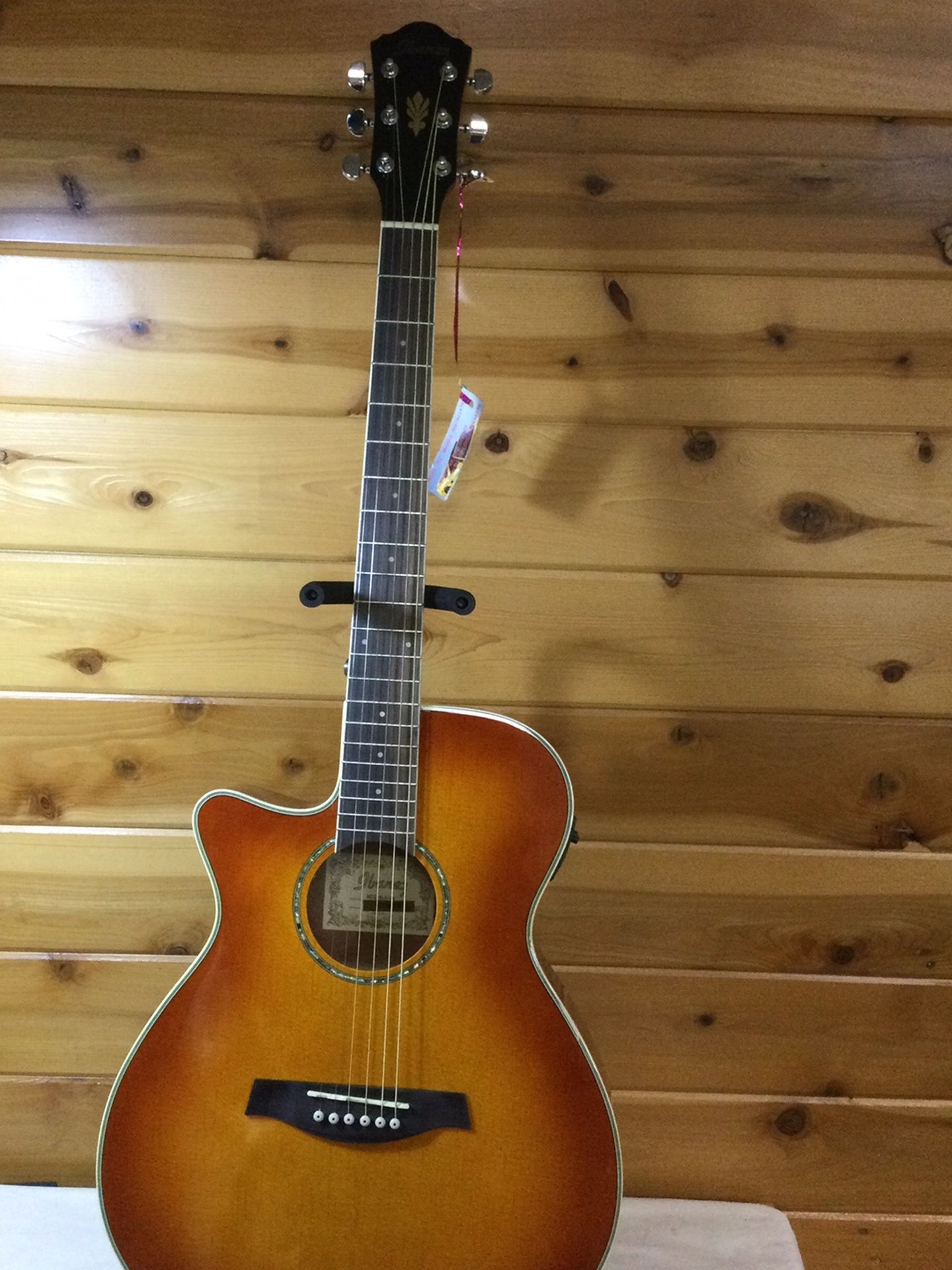 Ibanez Lefty Acoustic Electric Guitar