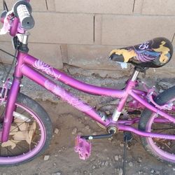 20" GIRLS BIKE