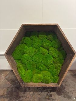 Hexagonal Wood Framed Moss Wall Art
