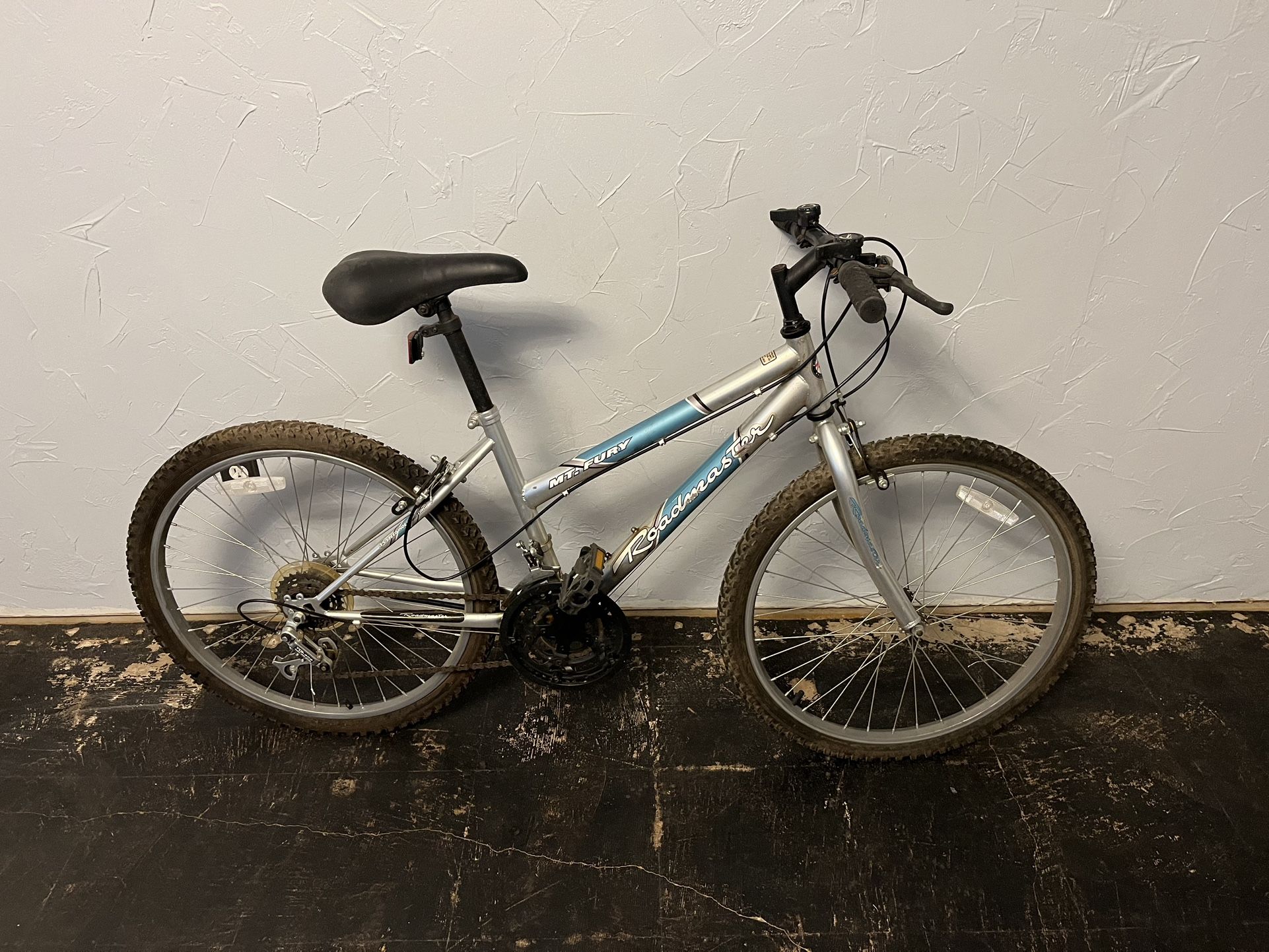 MT. FURY ROADMASTER ADULT BICYCLE