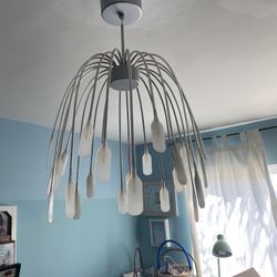 Light