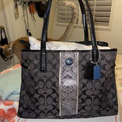 Coach Purse Medium Size 