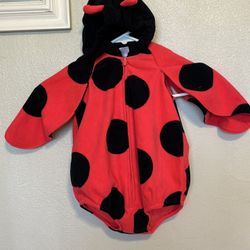 Ladybug Halloween Cost