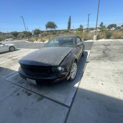 2005 Ford Mustang