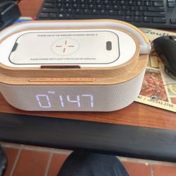 Wireless Charger And Speaker 