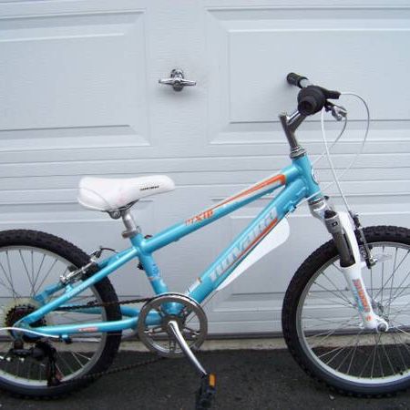 Novara pixie 20 inch bike hotsell