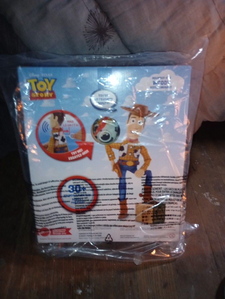 Toy Story Round Up Fun