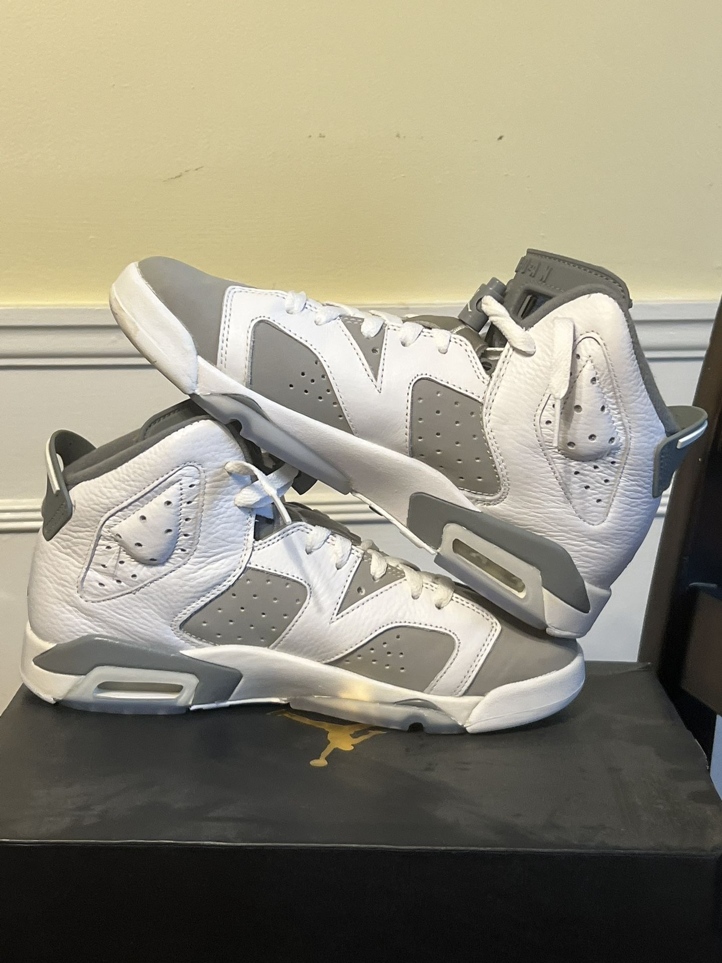 AIR JORDAN COOL GRAY 6’s