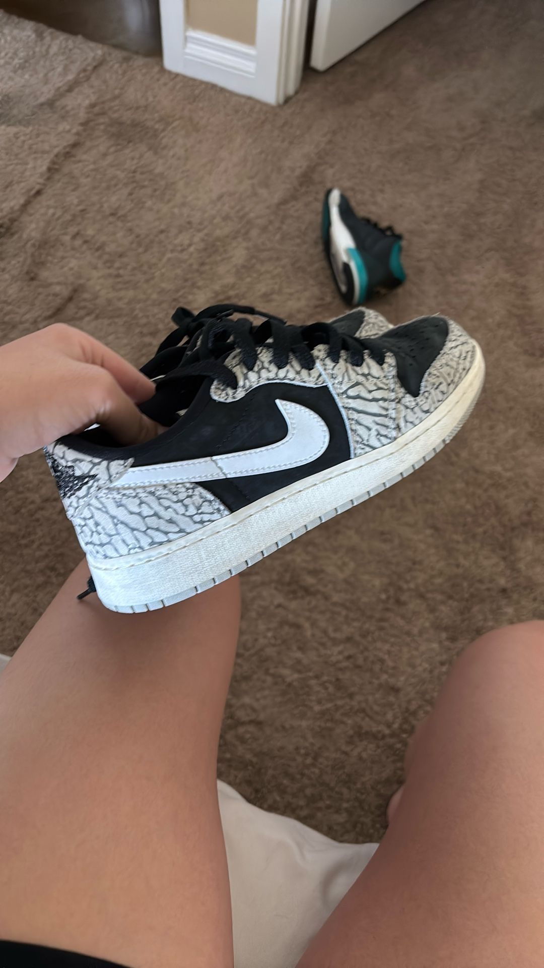Jordan 1 low